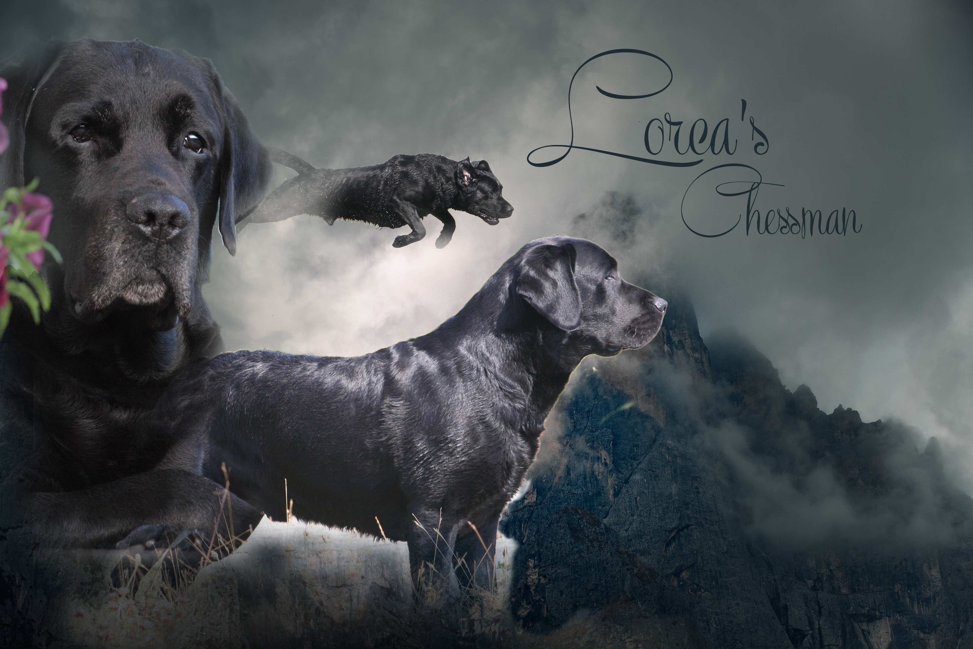 CH Lorcas Chessman